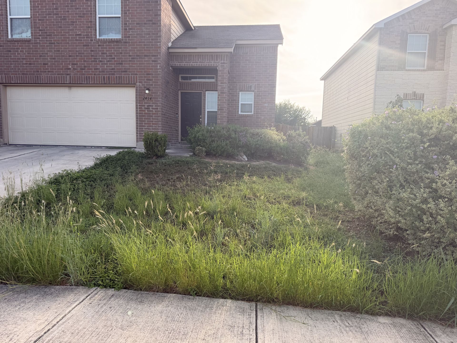 IMG 5112